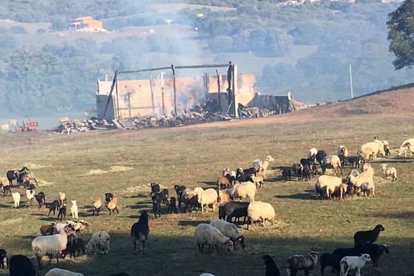 Un hangar appartenant à la famille de Marie-Paule Tomasi, membre du collectif Valincu Lindu a brûlé, mercredi 13 novembre.