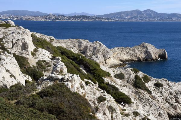 Un corps a été retrouvé, ce lundi 25 mars, au large de l'archipel du Frioul, vers l'île de Pomègues.