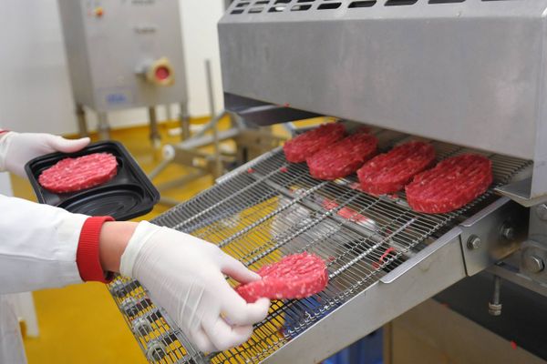 Des traces de la salmonelle ont été détectées dans des steaks hachés. Image d'illustration.