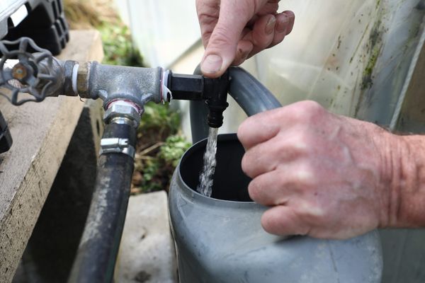 Dans certaines communes, il ne sera pas possible d'arroser son potager entre 10h et 18h