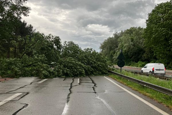 De violents orages ont touché les départements de l'Isère, de la Savoie et de la Haute-Savoie ce vendredi 12 juillet.