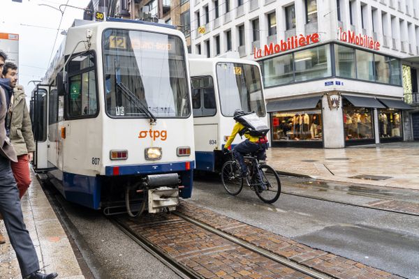 Depuis le 1er janvier 2025, les bus et les trams de Genève sont gratuits pour les jeunes de moins de 25 ans.