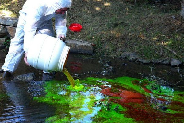 Cette coloration est sans danger pour l'environnement.