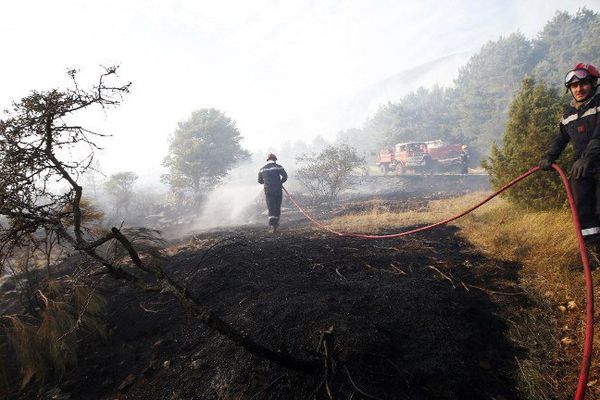 Au total, 259 hommes étaient déployés sur place, dont des pompiers venus en renfort du Var. 