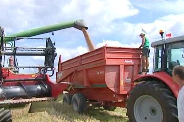 JA : dire non à la disparition des terres agricoles