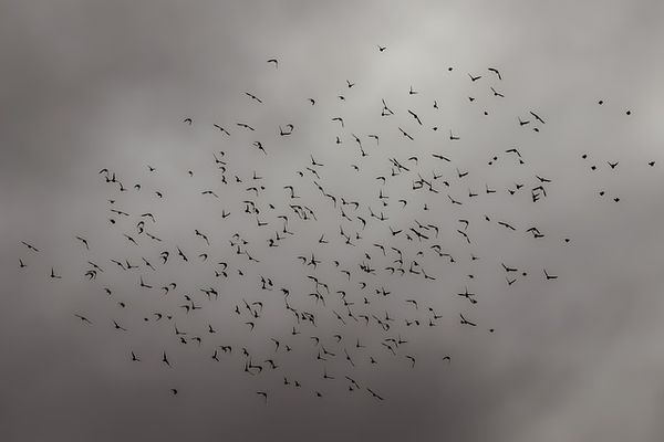 Ciel gris ce jeudi en Normandie