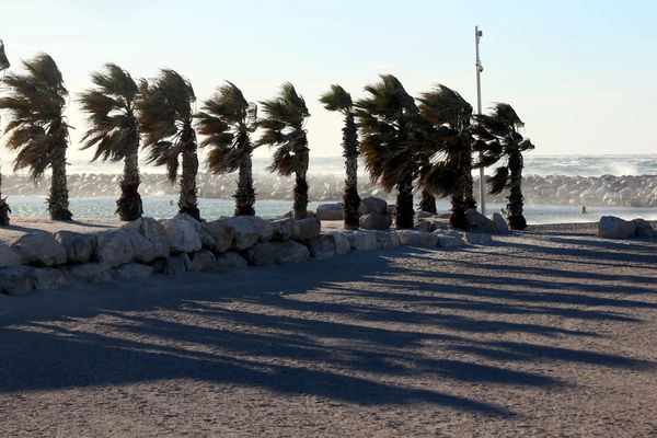 Des rafales de vent jusqu'à 160 km/h sont attendues après 20 h