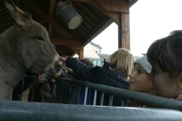 Une ferme pédagogique à Senlis