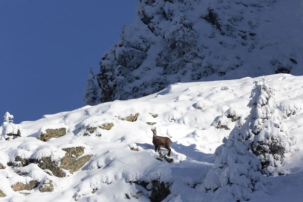 Des neiges assez conséquentes sont attendues en moyenne montagne ce week-end.