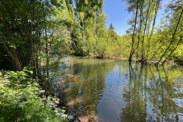 La rivière de l'Aume, polluée par le déversement de 500 mètres cubes de lisier