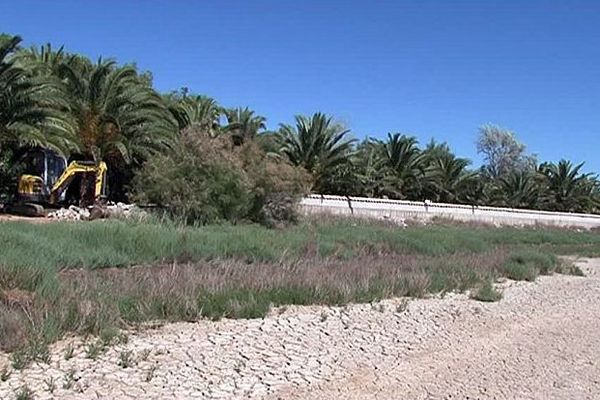 Vic-la-Gardiole (Hérault) - une palmeraie et une digue détruites à la demande de la justice car construites illégalement - juin 2016.