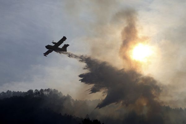 Ce samedi 30 juillet, la préfecture de Haute-Corse a fermé l'accès a certains massifs forestiers.