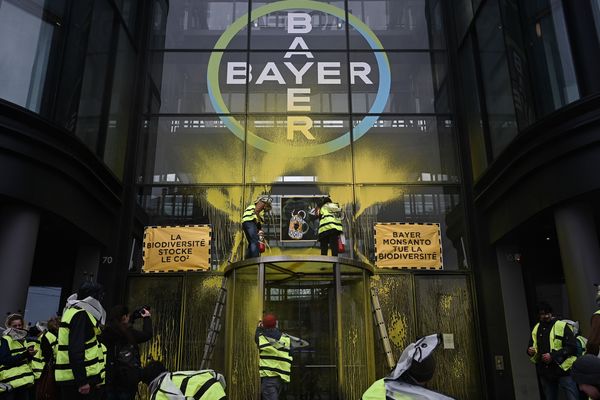 Des militants d'Attac ont recouvert de jaune l'entrée de l'entreprise Bayer à La Garenne-Colombes (Hauts-de-Seine).