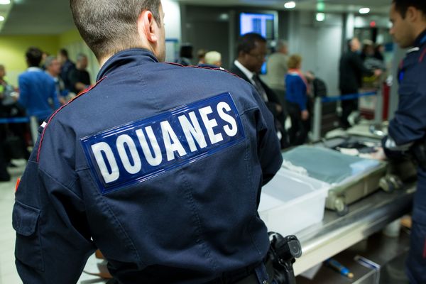 Un homme a été arrêté à l'aéroport Roissy-Charles-de-Gaulle alors qu'il transportait 80 oiseaux dans ses bagages à main. (Photo d'illustration)