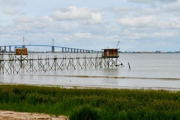 L'estuaire de la Loire à Saint-Brévin-les-Pins