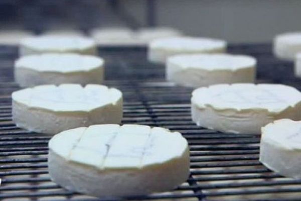 Des fromages Rocamadour AOP, produits dans le Lot.