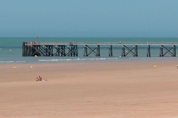 Invasions d'insectes volants en Vendée. Une dizaine de kilomètres de plages évacuées