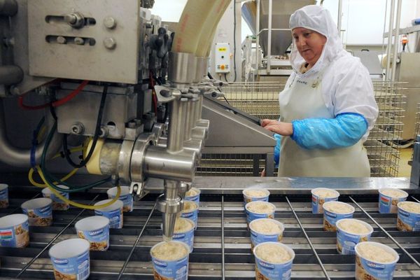 Production au sein du groupe Guyader Gastronomie à Landrevarzec (Finistère) - 2014 - AFP