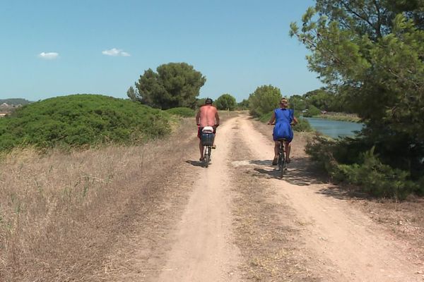 La voie douce permet la découverte le long des anciens salins des Pesquiers, un site jusqu'ici inaccessible.