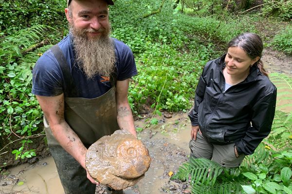 Loan a trouvé une ammonite géante dans la ravine de Gundershoffen, une belle découverte pour les paléontologues, jeudi 4 juillet 2024