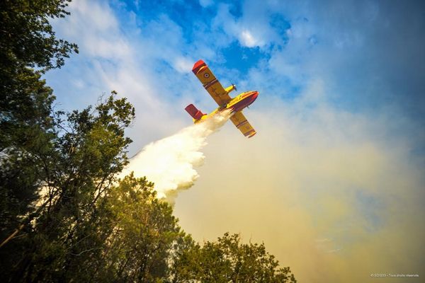 Les canadair appelés en renfort pour ce feu de forêt qui a repris de la vigueur à Magescq dans les Landes samedi 17 septembre.