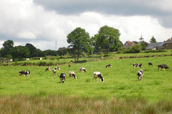 Dans le Bocage ornais, les nuages feront place aux éclaircies vers la mi-journée.