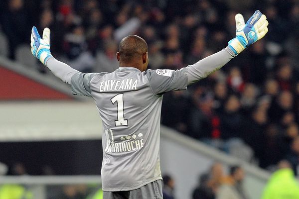 Vincent Enyeama, grand artisan de la victoire du LOSC face à l'OM le 3 décembre au Stade Pierre Mauroy