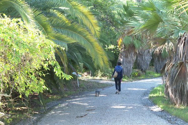 Le jardin botanique de la Villa Thuret que près de 20 000 personnes visitent chaque année pour voir 2000 arbres et 1000 espèces rares.