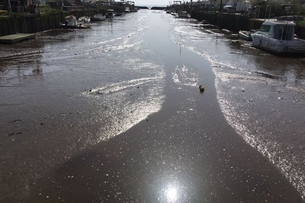 Ares Un Nouveau Centre De Traitement Des Boues Pour Desenvaser Le Nord Du Bassin D Arcachon