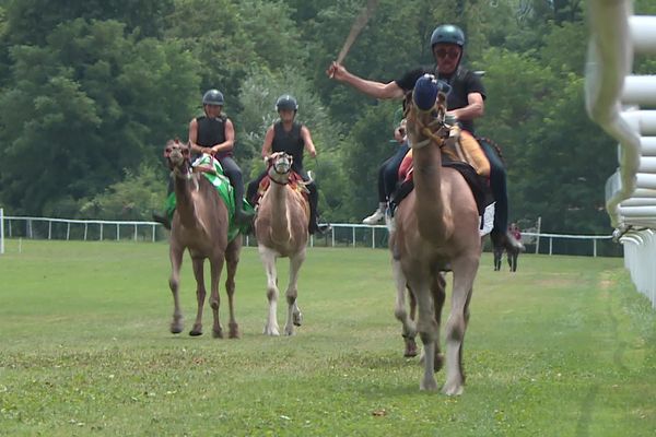 Plusieurs milliers de spectateurs ont assisté à des courses de dromadaires ce dimanche 4 août à Aix-les-Bains, en Savoie.