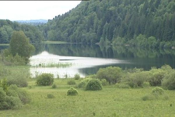 La forêt de Poligny accueillera-t-elle un Center Parcs ? La bataille ne fait que commencer. Le groupe Pierre et Vacances envisage d'ouvrir un sixième Center Parcs à deux heures de Lyon. L'annonce d'études dans le secteur de Poligny provoque une mise en concurrence avec le projet du Rousset en Saône et Loire.