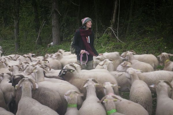 Manon, bergère engagée élève seule ses brebis et milite pour le bien-être de ses animaux.