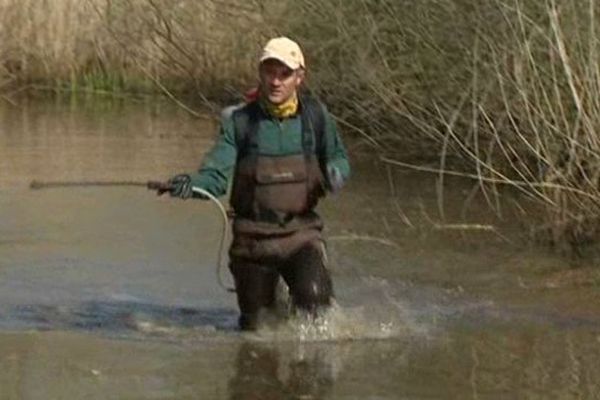 Un technicien des brigades vertes en action