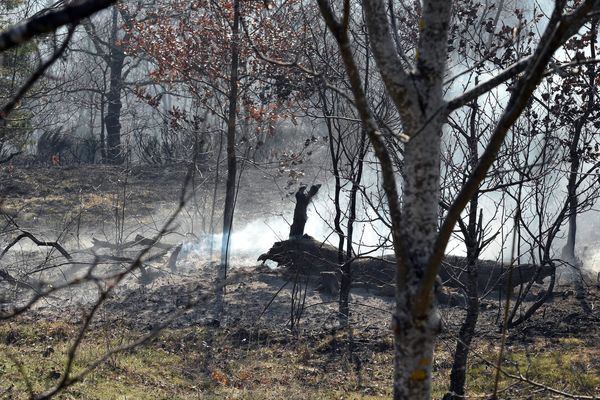 Les incendies sont souvent liés à un écobuage mal contrôlé