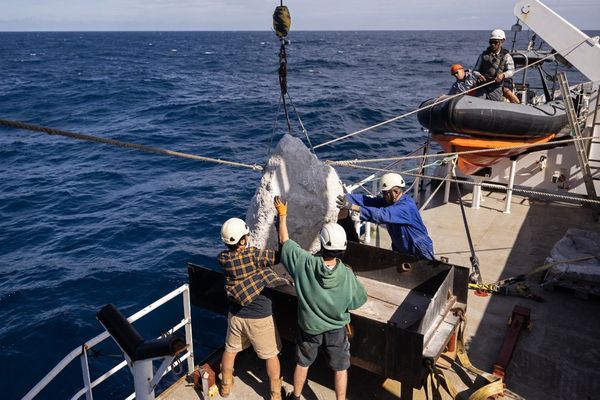 Les équipes de Greenpeace ont largué 18 gros rochers en Manche pour empêcher le chalutage