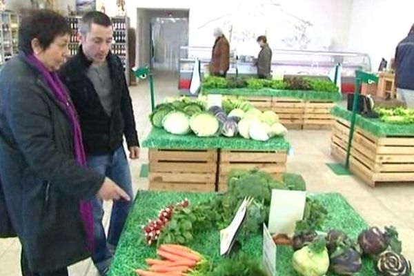 Le cuisinier du collège André Cabasse choisit les légumes pour sa cantine, à la coopérative des agriculteurs de Roquebrune-sur-Argens