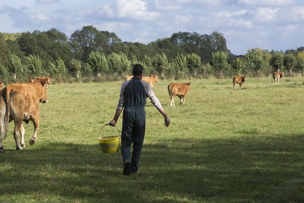 L'agriculture manque de bras et lance des opérations séduction pour attirer des candidats 