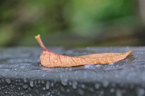 Pluie à Pont-Aven