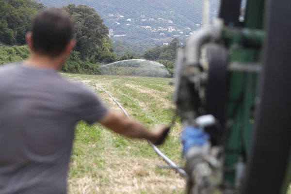 Quel sera le poids du vote des agriculteurs lors ce scrutin ?