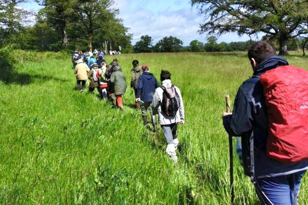 Sur les traces de Saint Maximin