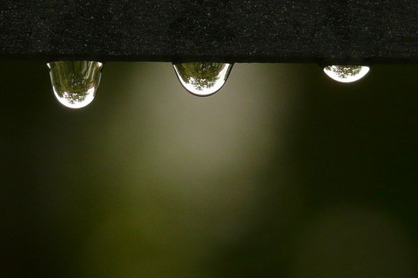 Pluie en ce début de semaine selon Météo France...