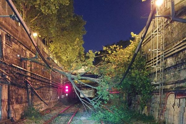 Deux arbres sont tombés sur des installations électriques du RER C entre les stations Paris Austerlitz et Saint-Michel Notre Dame.