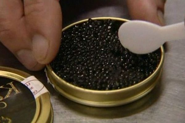 Depuis Opoul,grégory Lhoste, alimente le monde entier en caviar.