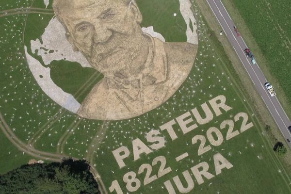 Un "land art" géant de Louis Pasteur dans la commune d'Arbois, lors de la 8e étape du Tour de France.