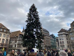 Les pages de livre sur le sapin provoquent l'incompréhension de beaucoup de visiteurs du marché de Noël.