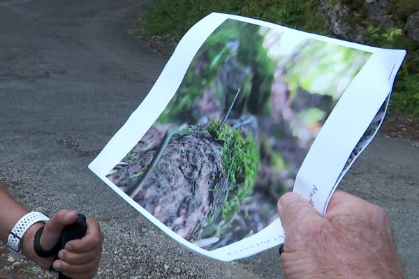 Sur les photos prises par le maire de Villaz, ou des traileurs, on voit clairement les clous dressés dans le bois ou la mousse, et qui font plusieurs centimètres