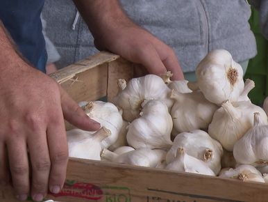 Agriculture: les fabricants de cerises confites s'inquiètent de  l'interdiction du diméthoate - RTL Info