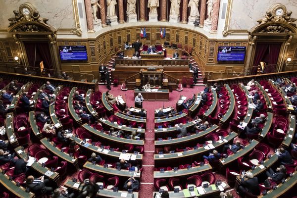 La moitié des 348 sièges de sénateurs sont remis en jeu dimanche 27 septembre 2020.