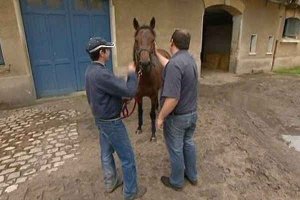 Sâonnois, son boulanger de propriétaire (à droite) et son soigneur (à gauche) octobre 2012