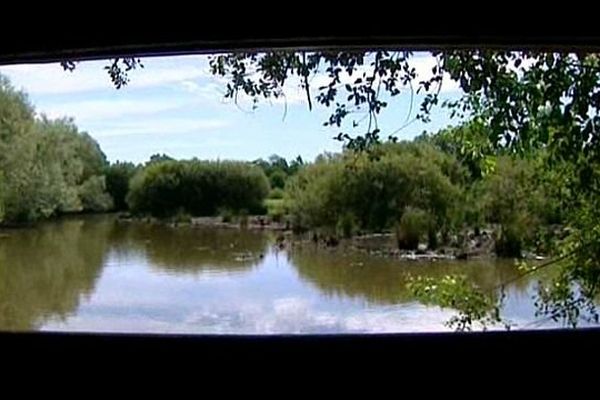 Le marais de Montceaux-l’Étoile, en Saône-et-Loire, abrite une flore et une faune remarquable dans un paysage bocager à dominante de pâtures et de prairies humides